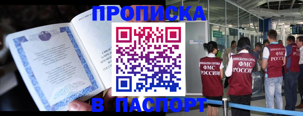 временная регистрация поиск в Новгородской области